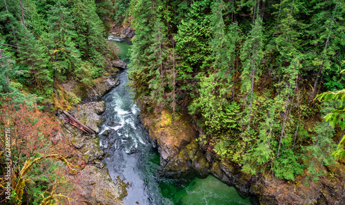 Looking Over A Wild River. Vancouver Island, British Columbia, Canada.