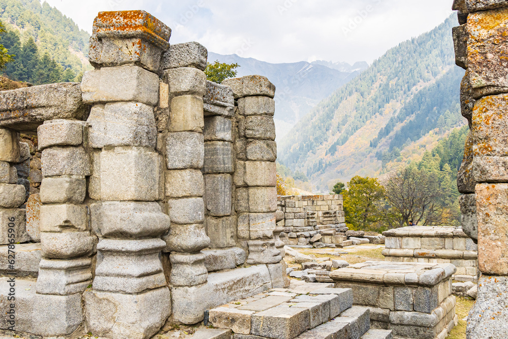 The Naranag Temples archaeological site in Jammu and Kashmir.