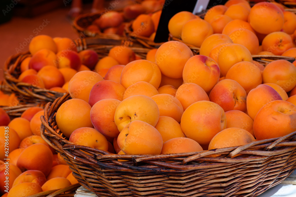 New harvest of fresh ripe sweet yellow-red apricots in Provence, France