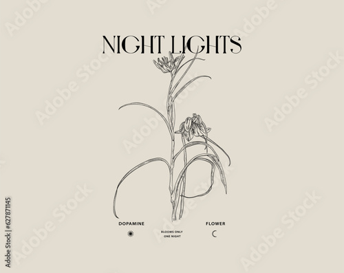 Typographic t-shirt design, outline flower and Night lights quote