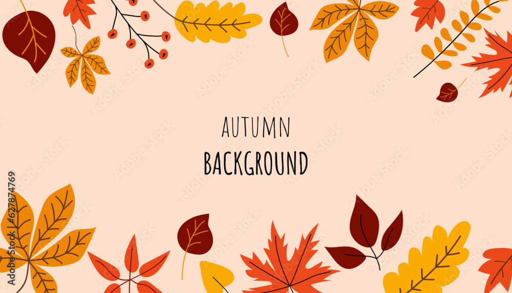 Vector Autumn Banner. Beautiful fall background with different leaves. Leaves decoration banner. Autumn foliage decor. October, september, november season poster.
