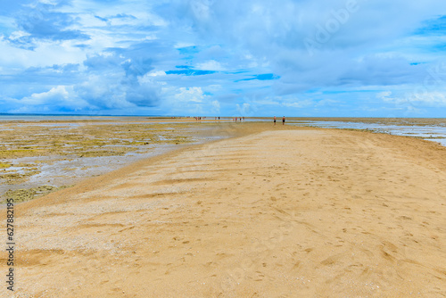 View of the sand path of Coroa Vermelha beach, tourist destination of Bahia state at Santa Cruz Cabralia city.  photo