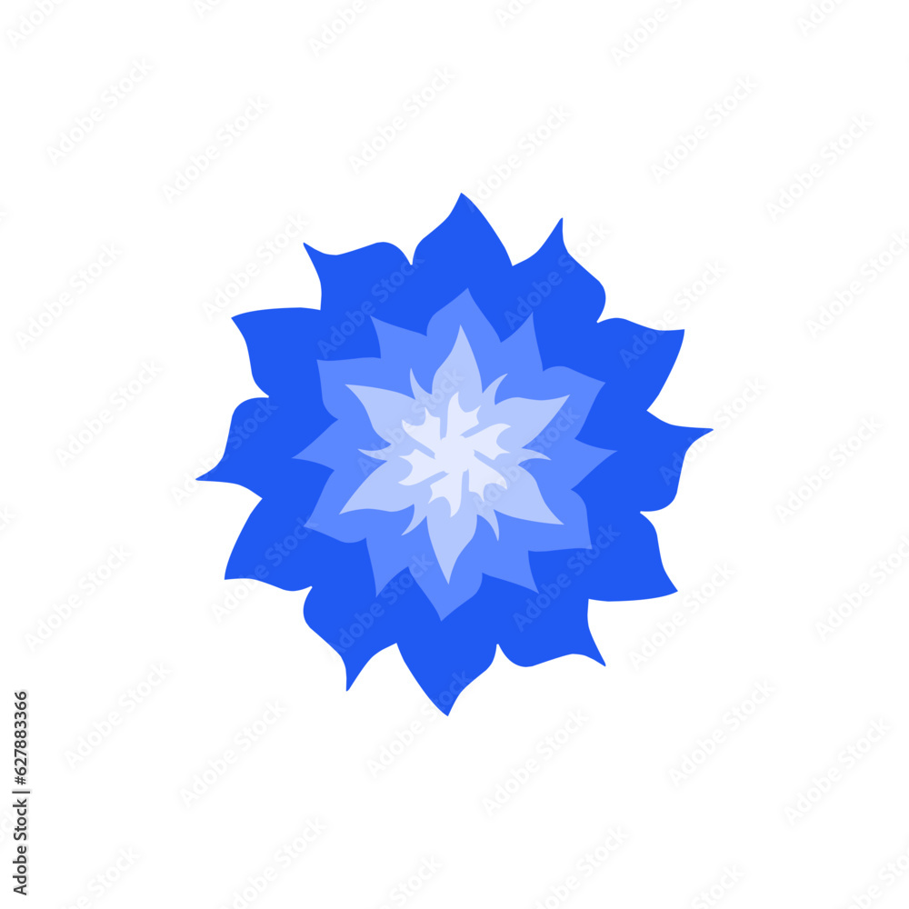 Flowers fire blue Flowers fire blue