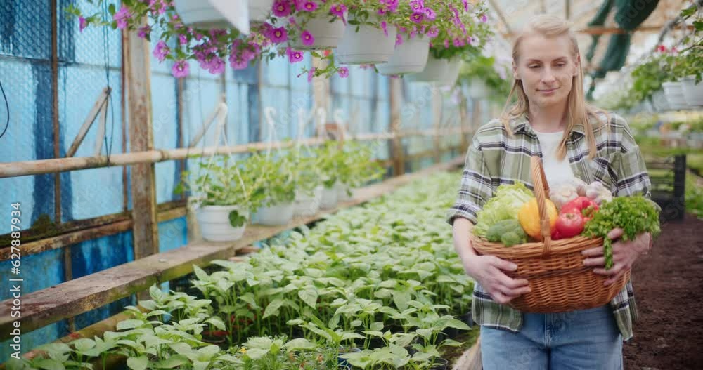 Female Farmer With Harvested Vegetables In Greenhouse. Female Farmer With Harvested Vegetables In Greenhouse.