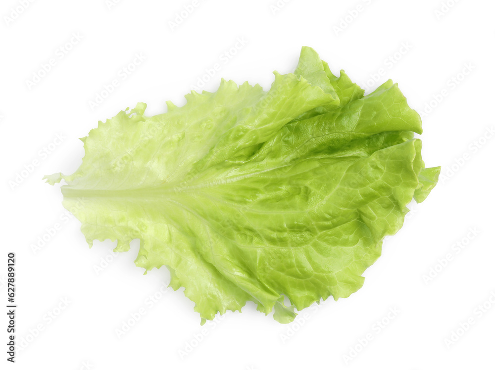 Fresh green lettuce leaf isolated on white, top view Fresh green lettuce leaf isolated on white, top view
