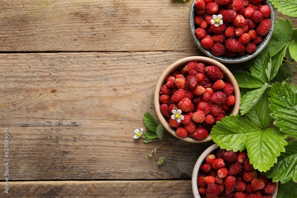 Fresh wild strawberries in bowls and leaves on wooden table, flat lay. Space for text Fresh wild strawberries in bowls and leaves on wooden table, flat lay. Space for text