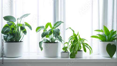 観葉植物、白い壁背景、コピースペース｜Houseplant, white wall background, copy space. Generative AI