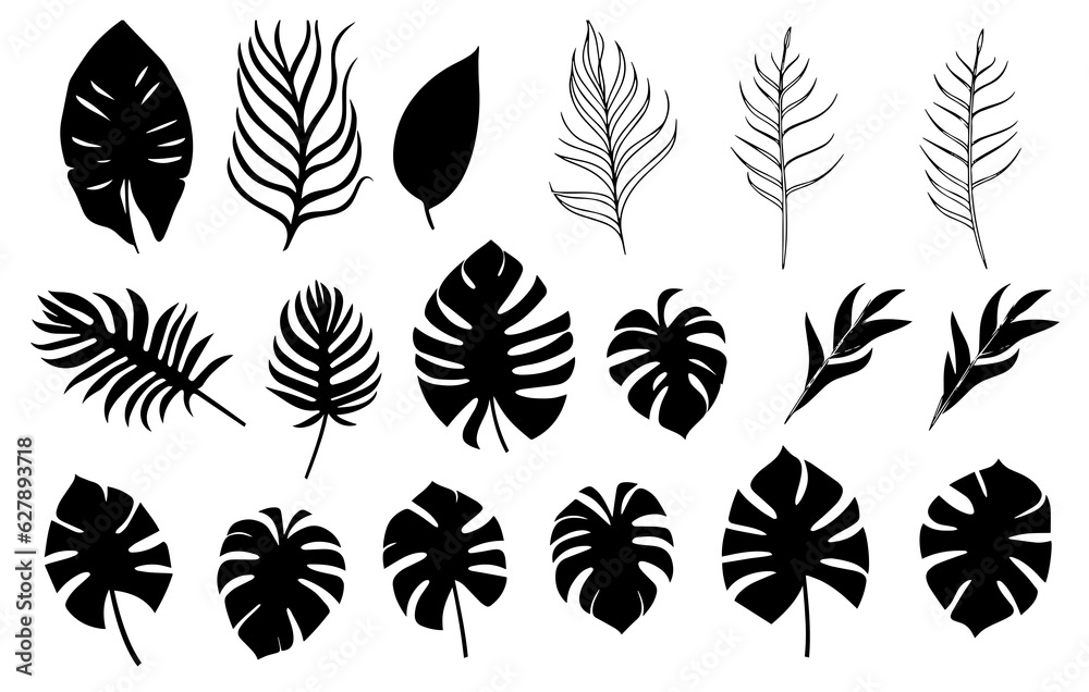 Leaves Autumn November October palm trees ficus forest fall Oak Maple alder hazel MONSTERA BUSH linden