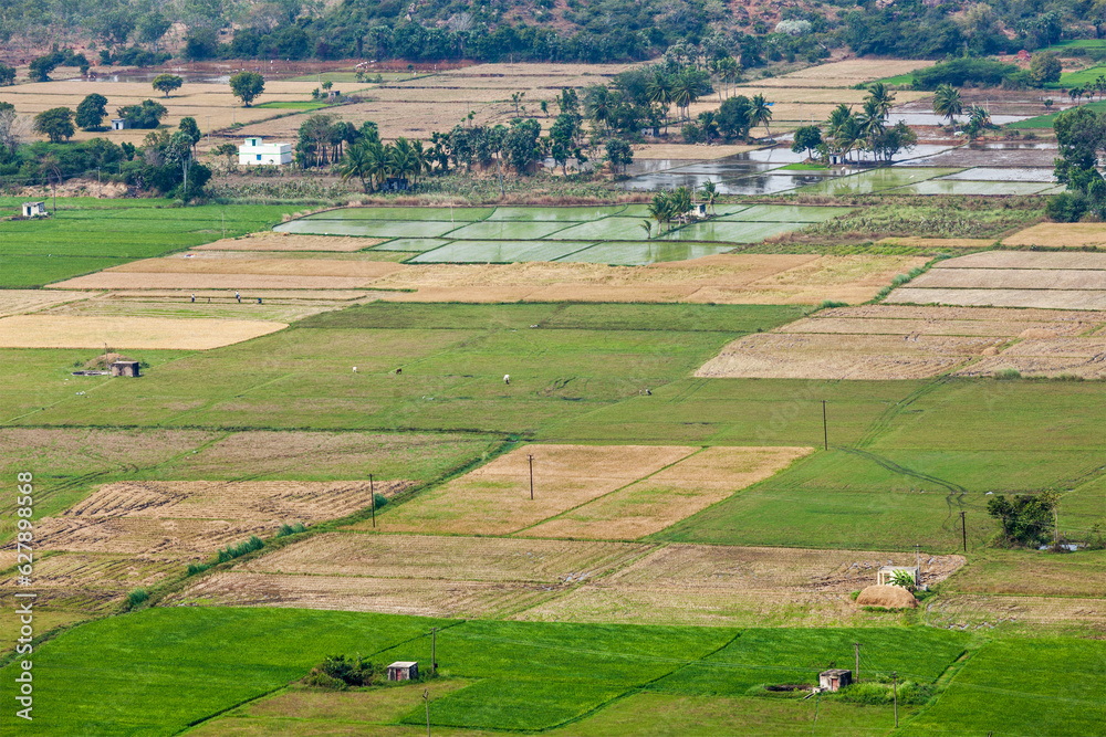 Aeiral view of Indian countryside with rice paddies near Thirukalukundram, Tamil Nadu, India