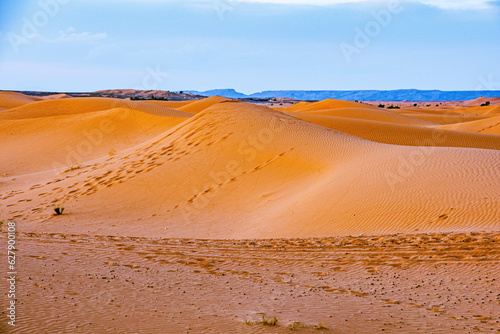 Fototapeta Naklejka Na Ścianę i Meble -  sand dunes in park