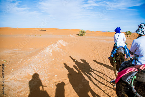 tourists in desert