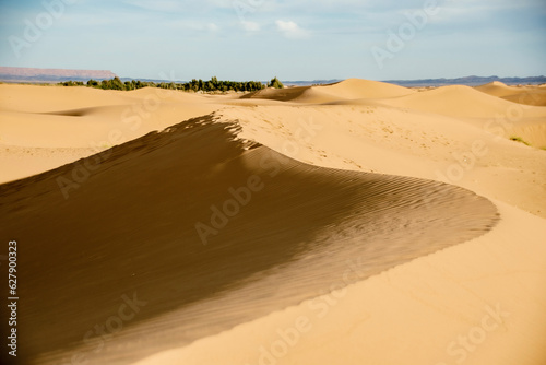 sand dunes in the desert