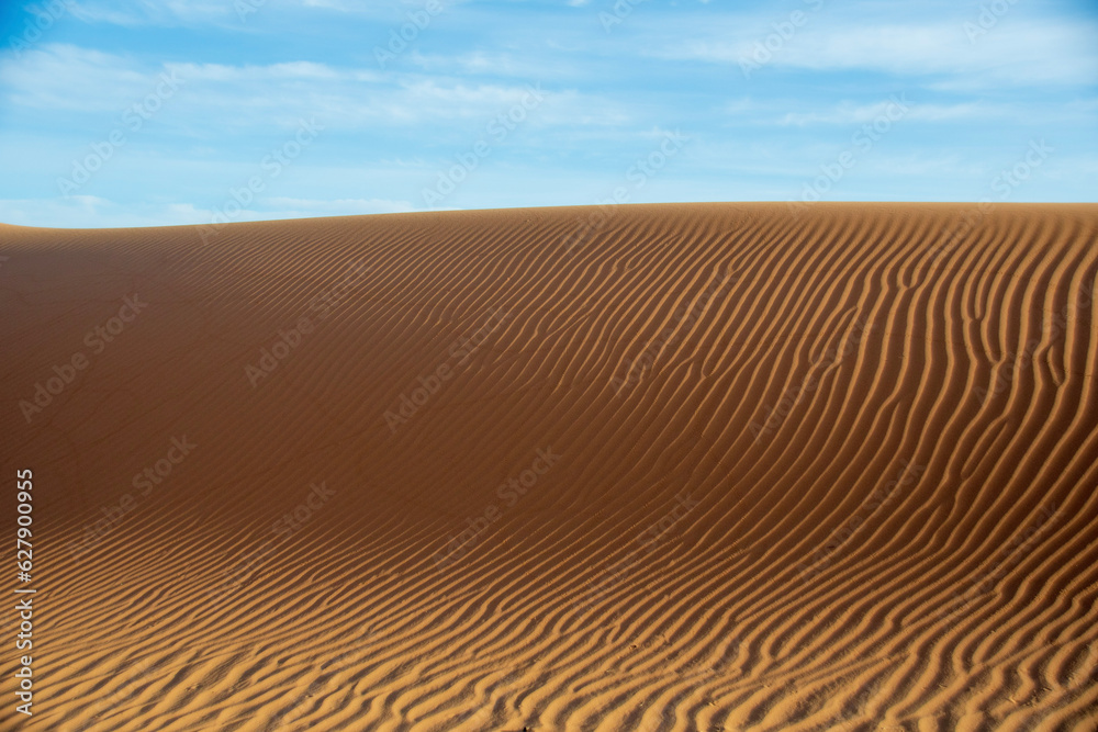 Naklejka premium sand dunes in the desert