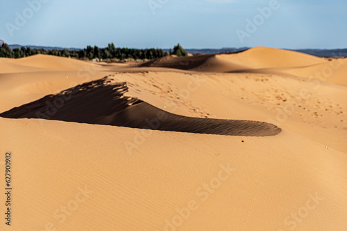 Fototapeta Naklejka Na Ścianę i Meble -  sand dunes in park