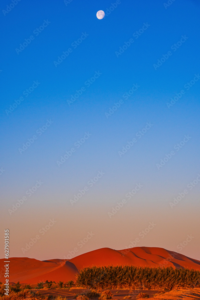 Obraz premium sunset in the desert