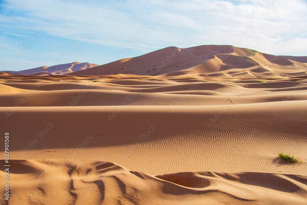 desert sand dunes