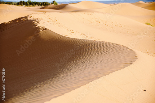 Fototapeta Naklejka Na Ścianę i Meble -  sand dunes in the desert