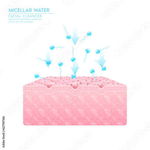 Micellar water drop on skin. Sectional mechanism remove dirt on skin cell with surfactant. Remove makeup with micellar. Cosmetics solution facial care pore cleaning. Face cleanser pure healthy. Vector