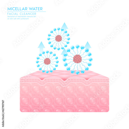 Micellar water drop on skin. Sectional mechanism remove dirt on skin cell with surfactant. Remove makeup with micellar. Cosmetics solution facial care pore cleaning. Face cleanser pure healthy. Vector