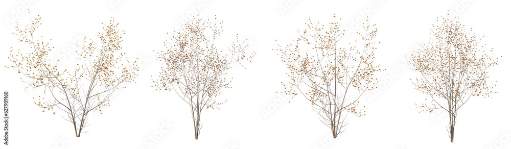 Fototapeta premium Set of dead plant and dry tree with isolated on transparent background. PNG file, 3D rendering illustration, Clip art and cut out