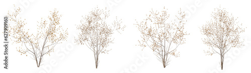 Set of dead plant and dry tree with isolated on transparent background. PNG file, 3D rendering illustration, Clip art and cut out