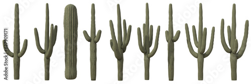 Set of Saguaro cactus or Carnegiea gigantea cactus with isolated on transparent background. PNG file, 3D rendering, Clip art and cut out photo