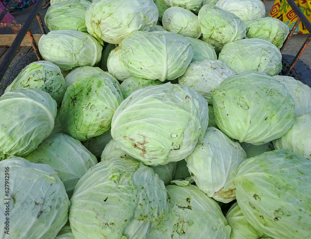 Fresh cabbage selling at farmers market Fresh cabbage selling at farmers market