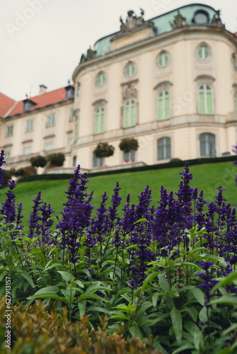 Beautiful violet flowers Castle Gardens on background adjacent to the Royal Castle in Warsaw from the side of the Vistula. City landmarks. Tourist attraction 