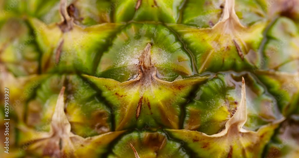 wet green-yellow peel of ripe pineapple close-up, peeled pineapple peel green and yellow wet green-yellow peel of ripe pineapple close-up, peeled pineapple peel green and yellow
