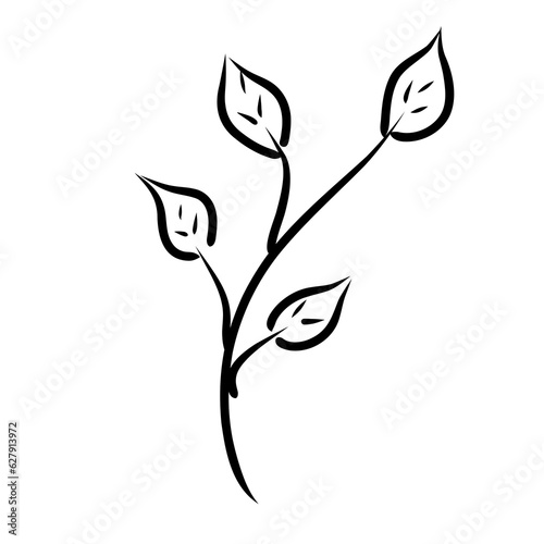 
leaf