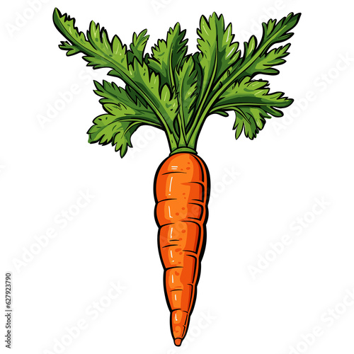 healthy orange carrots illustration, Vegetable Hand drawn doodle illustration