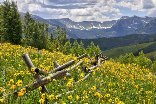 Wildflower season in Crested Butte, CO. Mid-day and the hiking paths near Mt. Crested Butte are rapidly gaining popularity. 