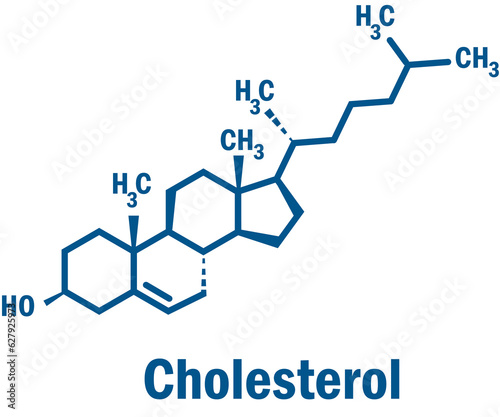 Cholesterol skeletal molecule formula. Chemical structure.