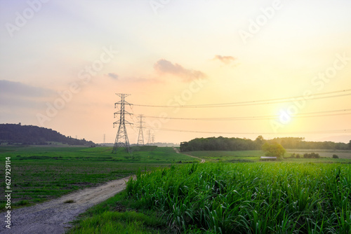 High voltage electricity distribution pole with trees shadow at sunset, electric supply transmission pylon line for energy generator technology industry