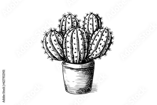 Cactus hand drawn ink sketch. Engraving style vector illustration