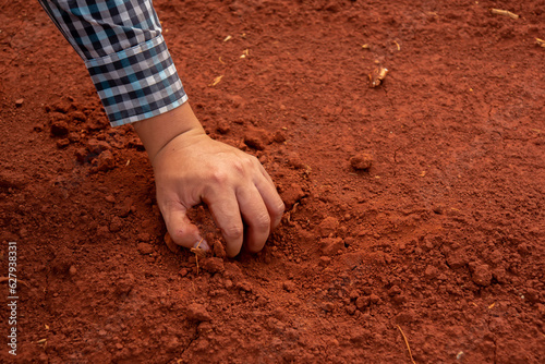 Man hand carefully picks soil from the ground, examining its composition and richness.