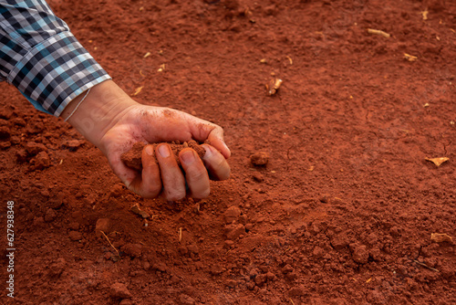 Hand holding the soil showcases the essence of life and sustenance, connecting humans to the earth.