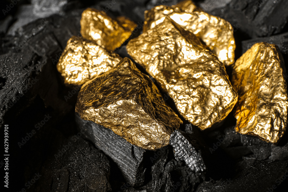 Golden nuggets on black charcoal, closeup Golden nuggets on black charcoal, closeup