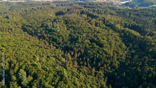 Aerial 4K drone footage of wild forests that showcases the lush landscape with diverse flora and fauna. Filmed in Slovenia during the summer time. photo