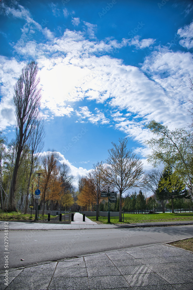 A view of Hokkaido University in Sapporo, Hokkaido, Japan. A view of Hokkaido University in Sapporo, Hokkaido, Japan.