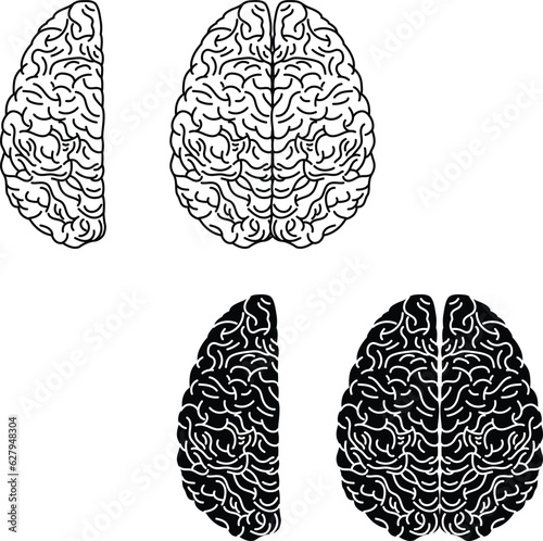 human brain illustration. Brain silhouettes