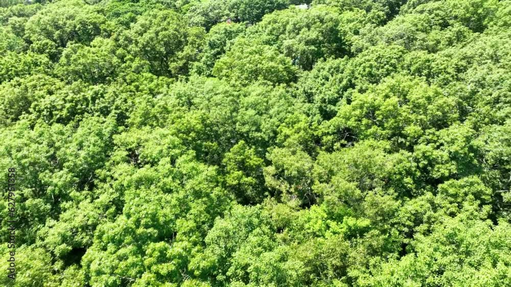 High angle search with aerial camera.