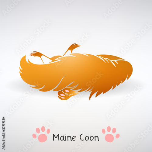 Red Maine Coon Cat Sleeps Covered with a Fluffy Tail