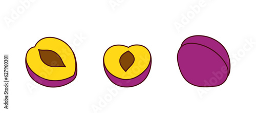 Set of hand-drawn plums on a transparent background. Isolated vector illustration of juicy fruit