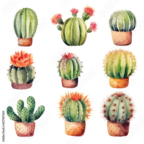 Watercolor set of cacti and succulent plants isolated on white background. Flower illustration for your projects, greeting cards and invitations.