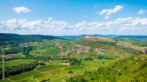 Panoramic view of green vineyard in Beaujolais- Burgundy region, France