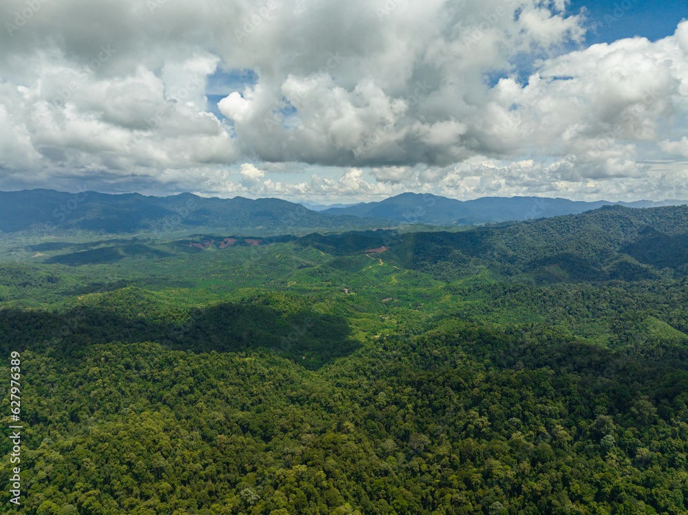 Obraz premium Mountain slopes covered with rainforest and jungle. View of the valley in the mountain province. Borneo, Malaysia.