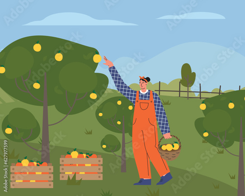 Farmer on farm flat vector illustration. Agricultural worker harvesting crops. Corn harvesting. worker reaping harvest, picking organic vegetables, Countryside, farmland, agriculture concept