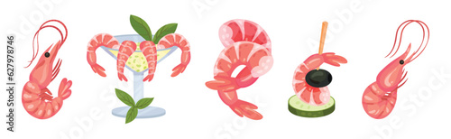 Appetizing Snack with Shrimp or Prawn Vector Set