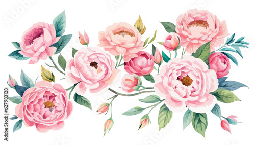 pastal flowers, peonies rose, echeveria succulent, white hydrangea, ranunculus, anemone, eucalyptus, juniper vector design wedding bouquets. Seasonal flower card. flat simple vector illustration